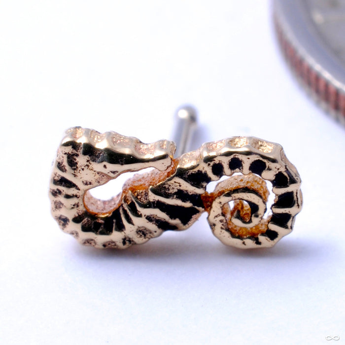 Seahorse Press-fit End in Gold from BVLA