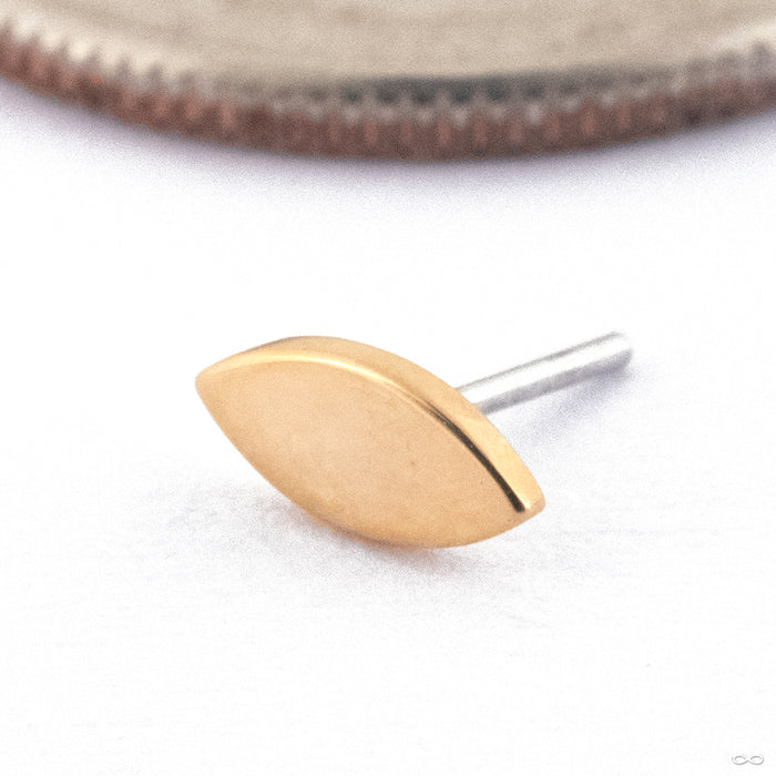 Seed Press-fit End in Gold from Quetzalli in 14k Yellow Gold
