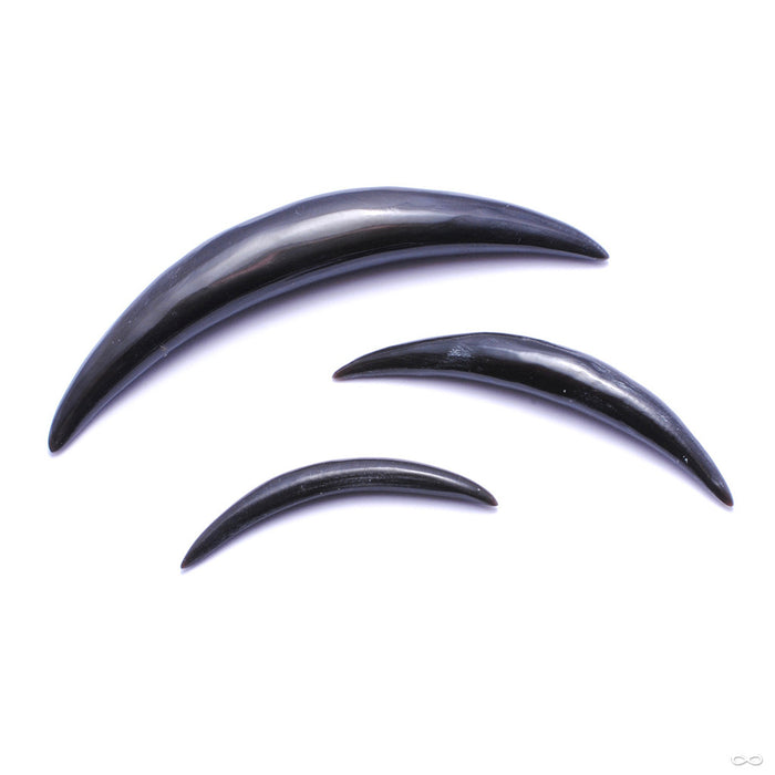 Septum Tusk from Oracle in Assorted Horn