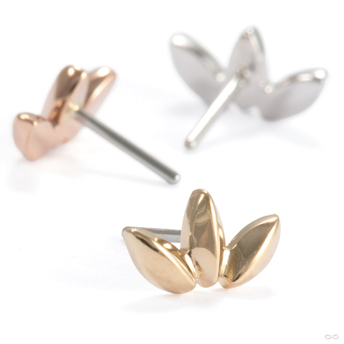 Solace Press-fit End in Gold from Ember Body Jewelry in assorted materials