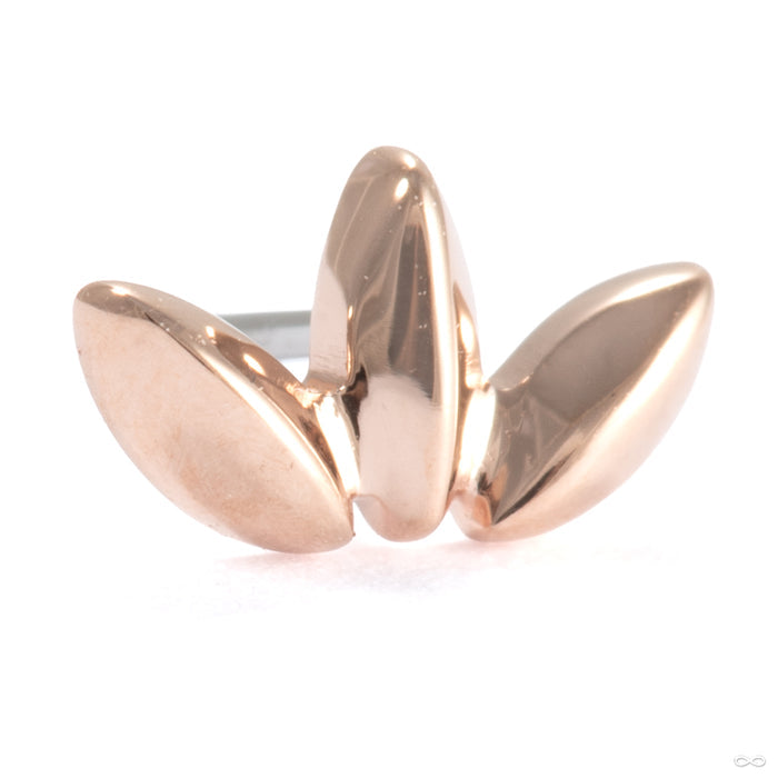Solace Press-fit End in 14k Rose Gold from Ember Body Jewelry