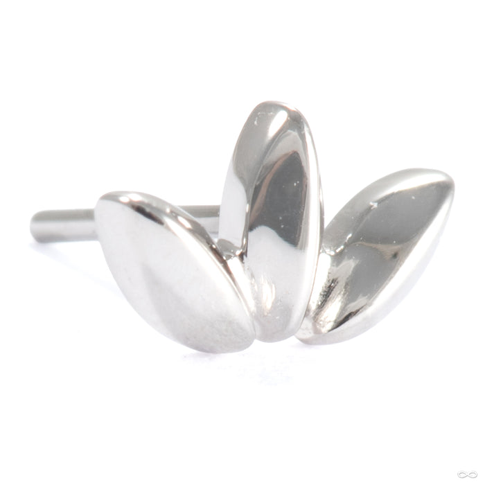 Solace Press-fit End in 14k White Gold from Ember Body Jewelry
