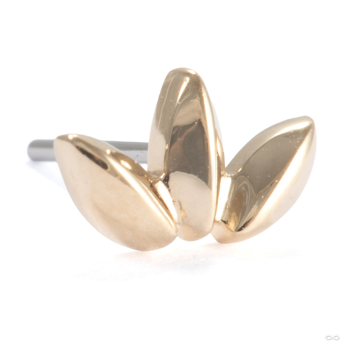 Solace Press-fit End in 14k Yellow Gold from Ember Body Jewelry