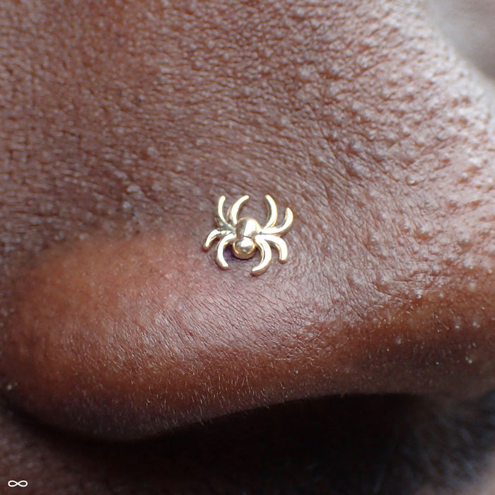 Nostril Piercing with Spider Press-fit End in Yellow Gold from LeRoi