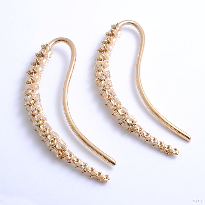 Spinal Tap from Tawapa in yellow-gold-plated brass