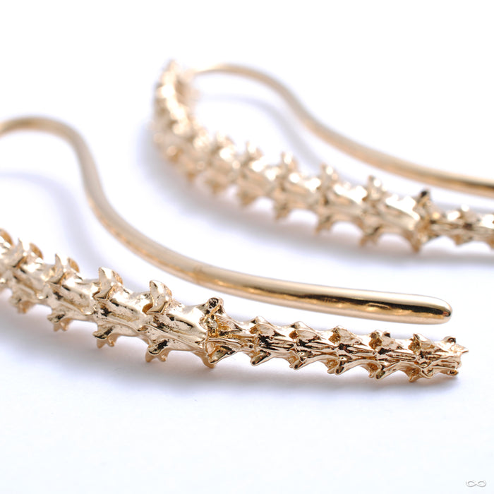 Spinal Tap from Tawapa in yellow-gold-plated brass
