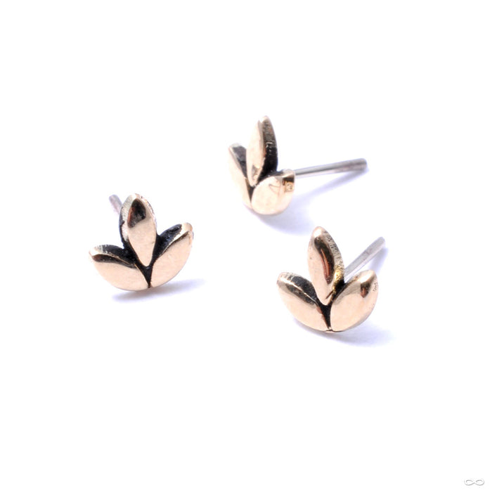 Sprout Press-fit End in Gold from Maya Jewelry in yellow gold