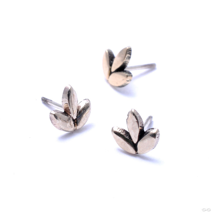Sprout Press-fit End in Gold from Maya Jewelry in white gold