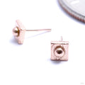 Squrrr with Dottie Press-fit End in Gold from Pupil Hall in rose gold