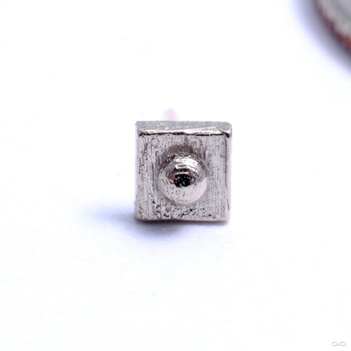 Squrrr with Dottie Press-fit End in Gold from Pupil Hall in white gold