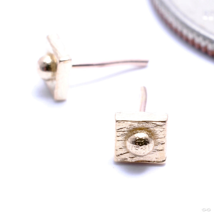 Squrrr with Dottie Press-fit End in Gold from Pupil Hall in yellow gold