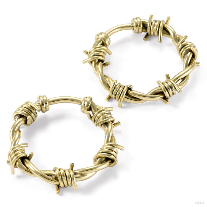 Stabby Joe Weights from Symmetry Body Jewelry in yellow brass