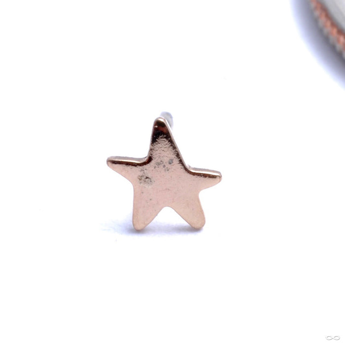 Star Press-fit End in Gold from Pupil Hall in yellow gold