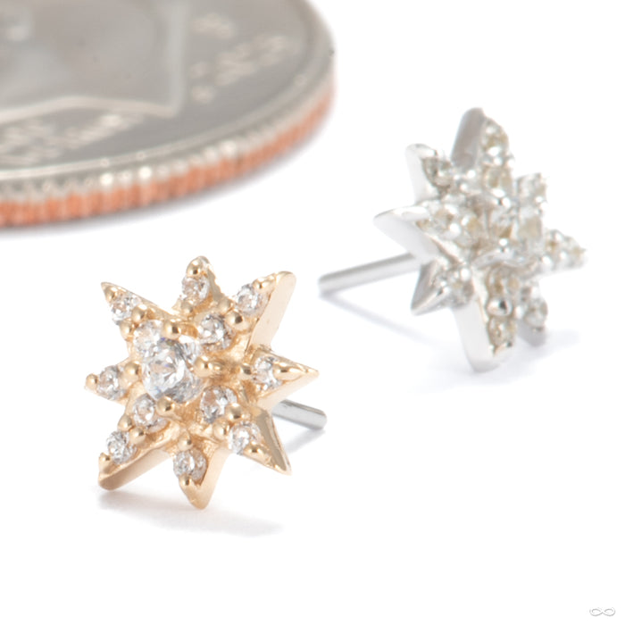 Starlet Press-fit End in Gold from Ember Body Jewelry in assorted materials