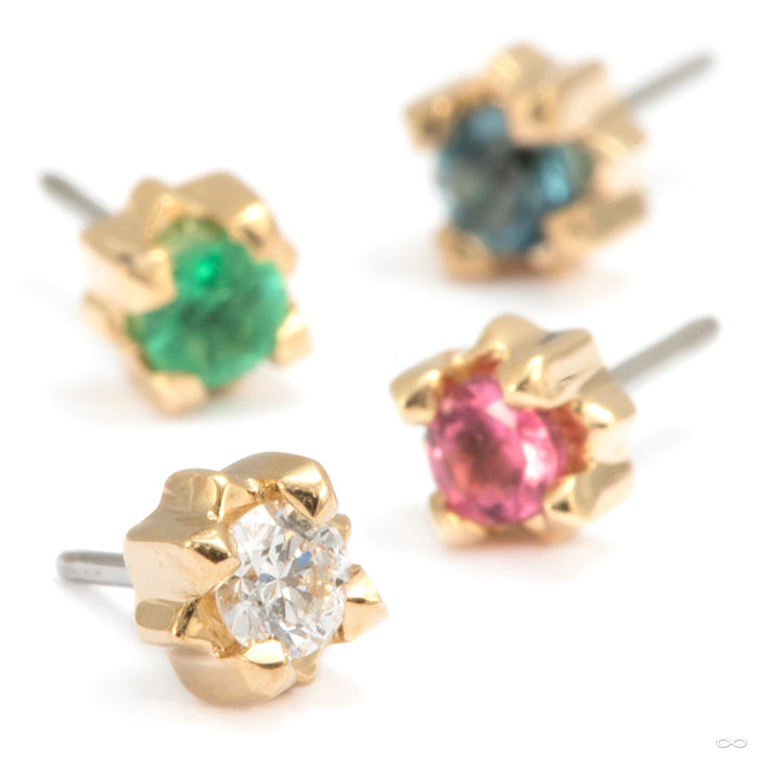 Stella Press-fit End in Gold from Tether Jewelry group photo