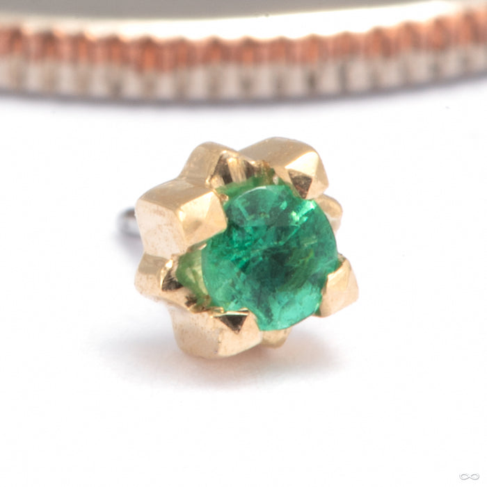 Stella Press-fit End in 14k Yellow Gold with Emerald from Tether Jewelry