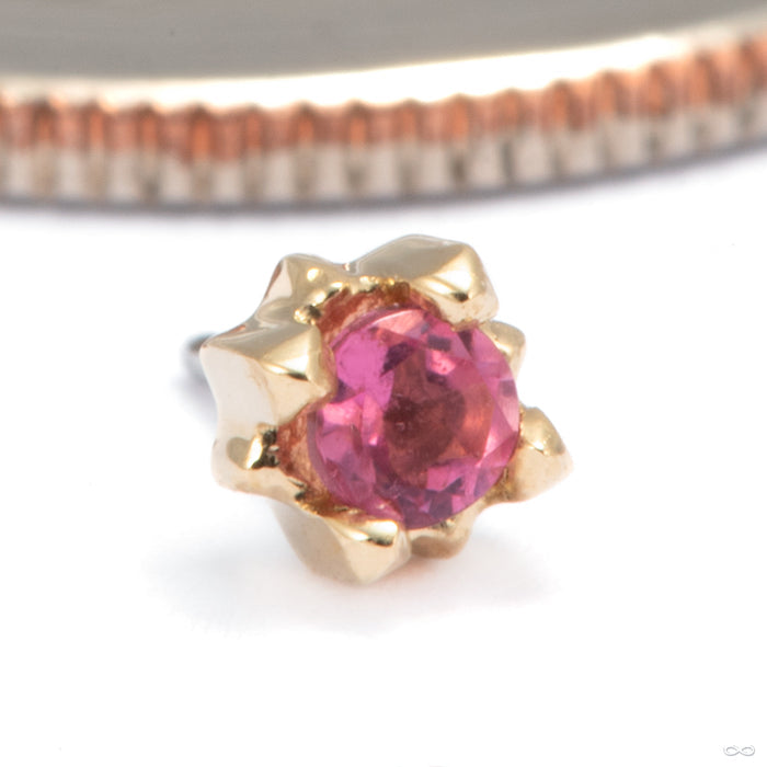 Stella Press-fit End in 14k Yellow Gold with Pink Tourmaline from Tether Jewelry