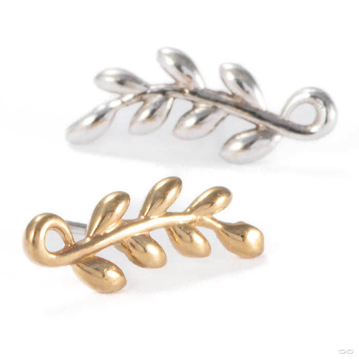 Tendril Press-fit End in Gold from Tawapa in assorted materials