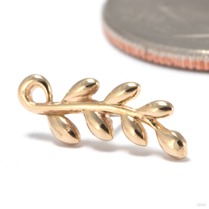 Tendril Press-fit End in 14k Yellow Gold in Left Orientation from Tawapa