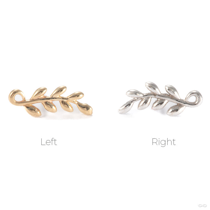 Tendril Press-fit End in Gold from Tawapa showing orientation options