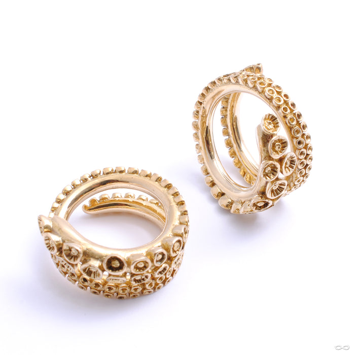Tentacle Weights from Tawapa in brass