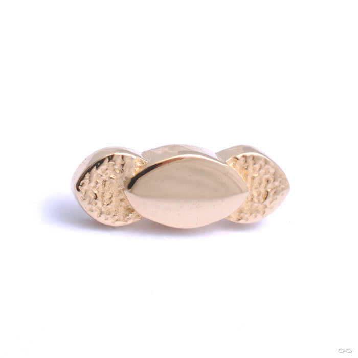 Theta 66 Press-fit End in Gold from Tether Jewelry in yellow gold
