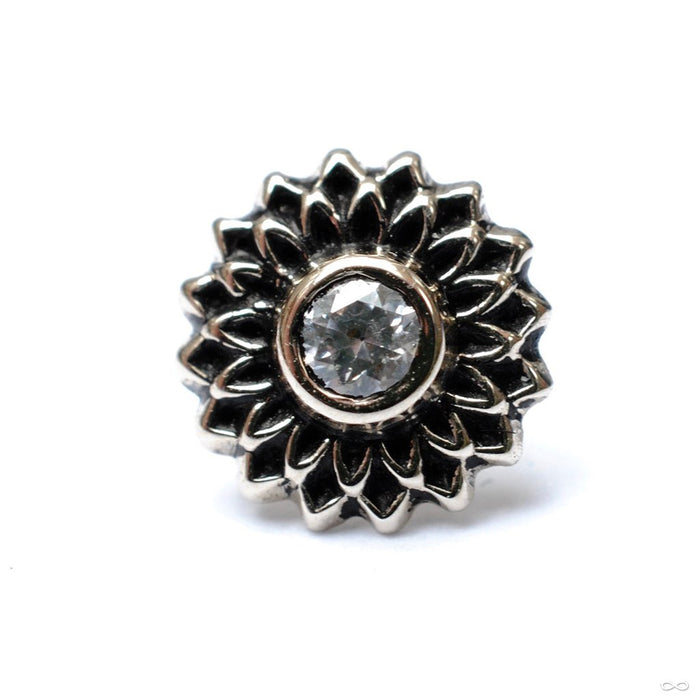 Thrive Press-fit End in Gold from Maya Jewelry with Clear CZ