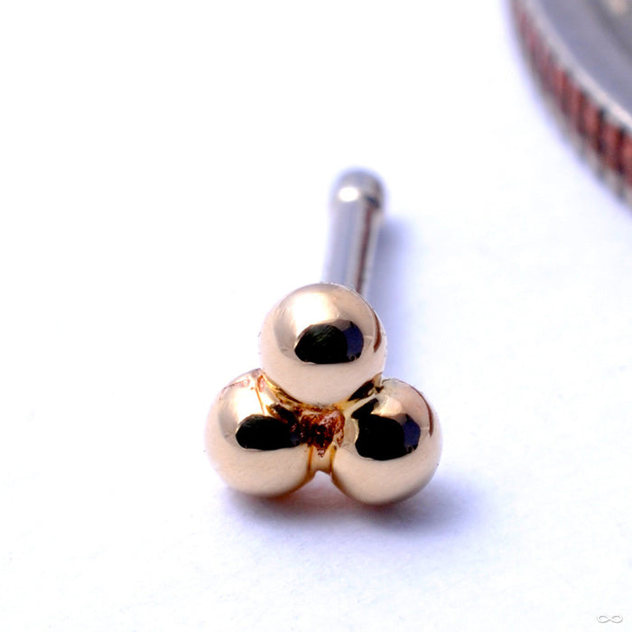 Tri Bead Cluster Press-fit End in Gold from BVLA in Yellow Gold
