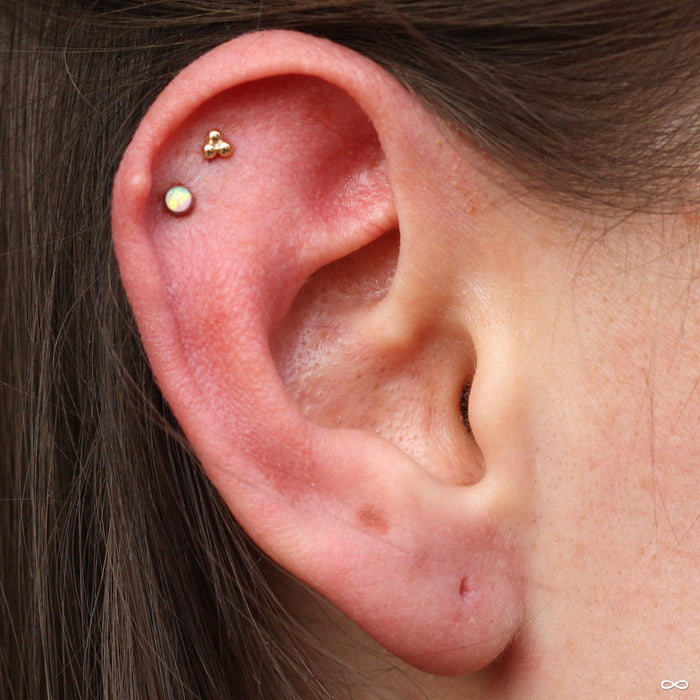 Outer helix piercing with Tri Bead Cluster Press-fit End in Gold from BVLA in 14k Yellow Gold