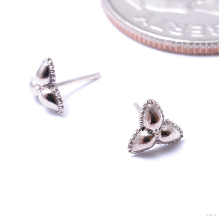 Trick Press-fit End in Gold from Regalia in white gold