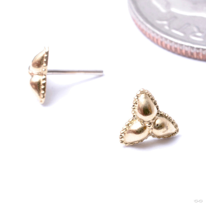 Trick Press-fit End in Gold from Regalia in yellow gold