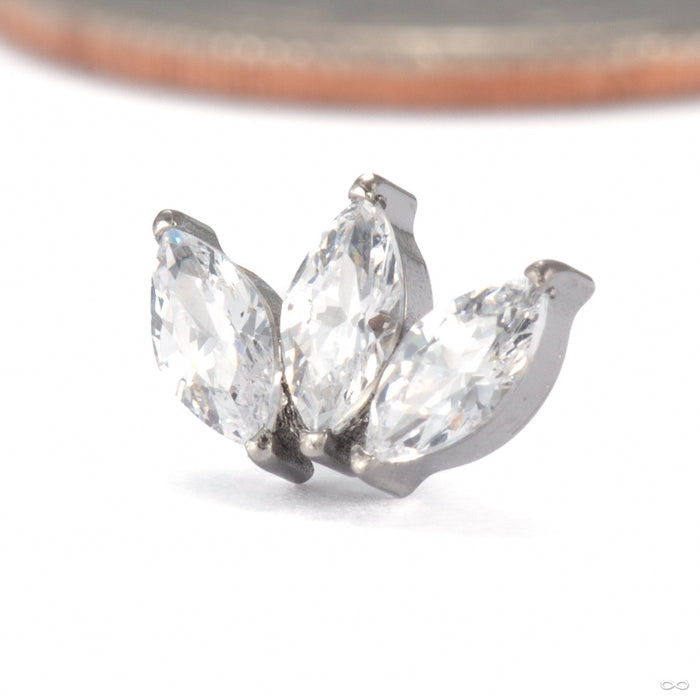 Triple Gemstone Marquise Press-fit End in Titanium with 4mm stones Clear CZ from Diablo Organics