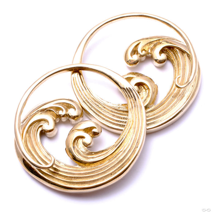 Tsunami Weights from Diablo Organics in brass
