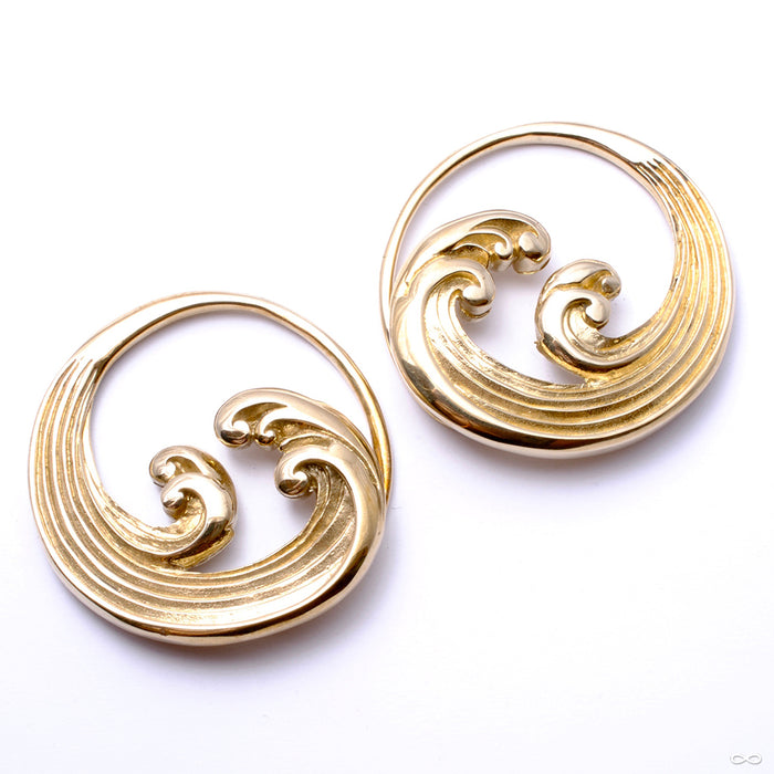 Tsunami Weights from Diablo Organics in brass
