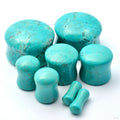 "Turquoise" Plugs from Diablo Organics