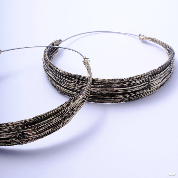 Vanilla Pod Hoop Earrings from Eleven44