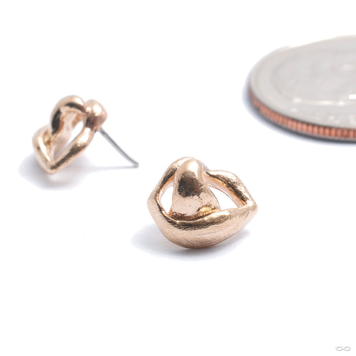 Veruschka Press-fit End in Gold from Pupil Hall in yellow gold