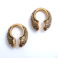 Vision Weights from Oracle in brass