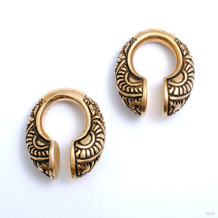 Vision Weights from Oracle in brass