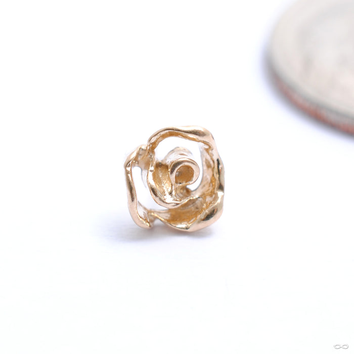 What A Prick Press-fit End in Gold from Pupil Hall in yellow gold