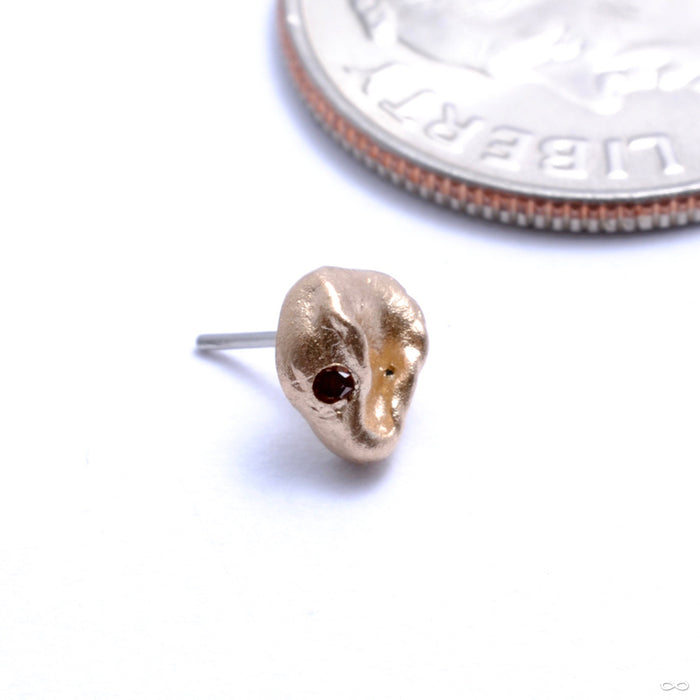 Who Is Sheeeee Press-fit End in Gold from Pupil Hall in yellow gold