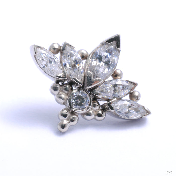 Zasu Press-fit End in Gold from LeRoi with clear CZ