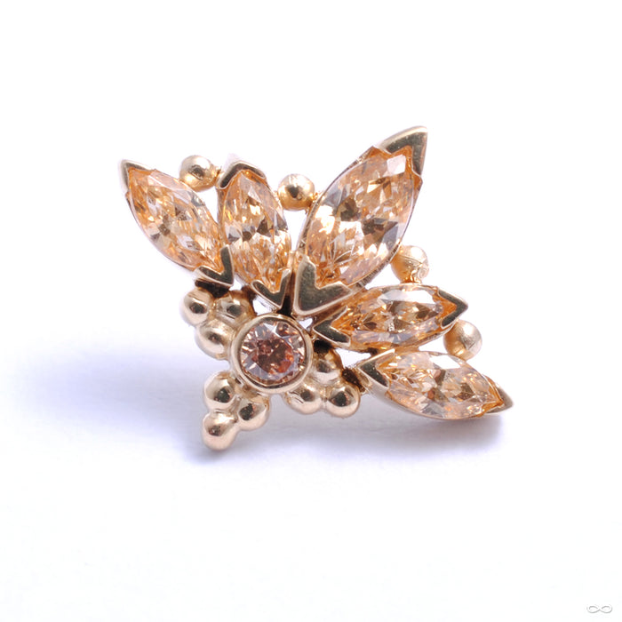 Zasu Press-fit End in Gold from LeRoi with champagne