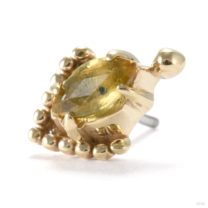 Zenith Press-fit End in Gold from Sacred Symbols with yellow citrine